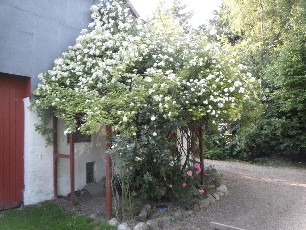 Villa Lille Degnbol Exterior foto