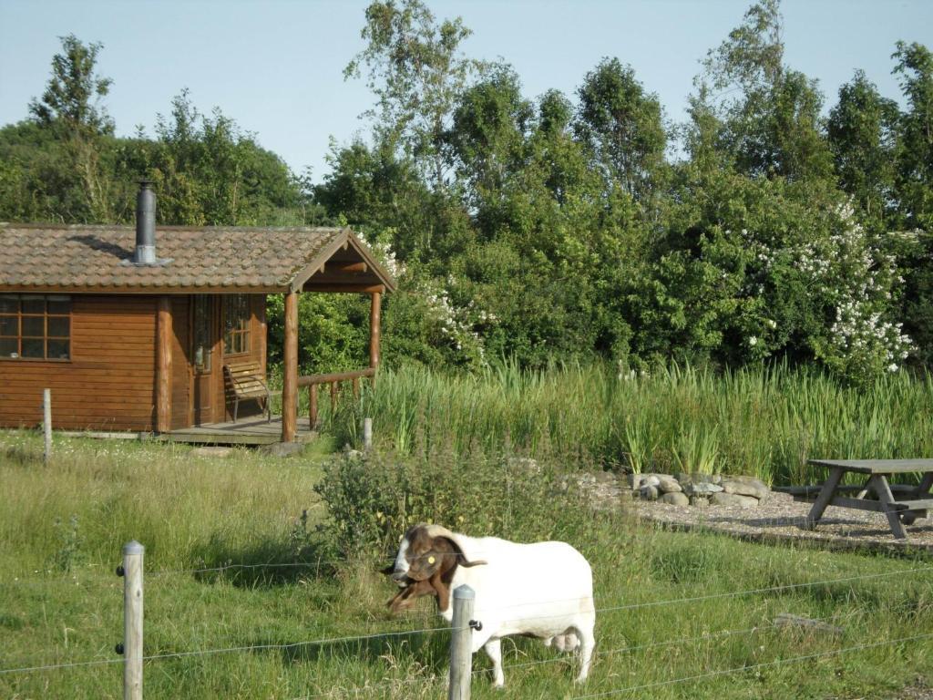 Villa Lille Degnbol Exterior foto